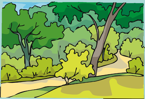 Forest Club