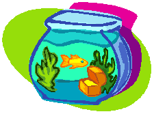 Fish Bowl